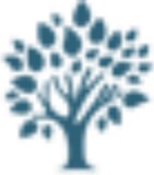 Logo de Longevita Geriatria
